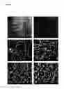 Fig. 06 - Method for manufacturing printed circuit board including flame retardant insulation layer