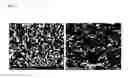 Fig. 07 - Method for manufacturing printed circuit board including flame retardant insulation layer