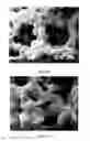 Fig. 06 - PREPARATION OF NANOSTRUCTURED MICROPOROUS COMPOSITE FOAMS
