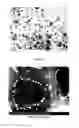 Fig. 08 - PREPARATION OF NANOSTRUCTURED MICROPOROUS COMPOSITE FOAMS