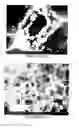 Fig. 09 - PREPARATION OF NANOSTRUCTURED MICROPOROUS COMPOSITE FOAMS