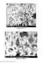 Fig. 10 - PREPARATION OF NANOSTRUCTURED MICROPOROUS COMPOSITE FOAMS