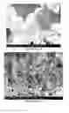 Fig. 11 - PREPARATION OF NANOSTRUCTURED MICROPOROUS COMPOSITE FOAMS