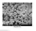 Fig. 13 - PREPARATION OF NANOSTRUCTURED MICROPOROUS COMPOSITE FOAMS