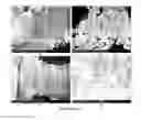 Fig. 15 - PREPARATION OF NANOSTRUCTURED MICROPOROUS COMPOSITE FOAMS