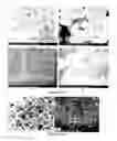 Fig. 16 - PREPARATION OF NANOSTRUCTURED MICROPOROUS COMPOSITE FOAMS