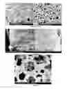 Fig. 17 - PREPARATION OF NANOSTRUCTURED MICROPOROUS COMPOSITE FOAMS