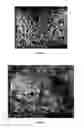 Fig. 19 - PREPARATION OF NANOSTRUCTURED MICROPOROUS COMPOSITE FOAMS