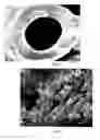 Fig. 23 - PREPARATION OF NANOSTRUCTURED MICROPOROUS COMPOSITE FOAMS