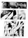 Fig. 24 - PREPARATION OF NANOSTRUCTURED MICROPOROUS COMPOSITE FOAMS