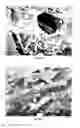 Fig. 25 - PREPARATION OF NANOSTRUCTURED MICROPOROUS COMPOSITE FOAMS