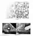 Fig. 26 - PREPARATION OF NANOSTRUCTURED MICROPOROUS COMPOSITE FOAMS