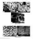 Fig. 27 - PREPARATION OF NANOSTRUCTURED MICROPOROUS COMPOSITE FOAMS