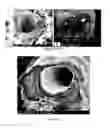 Fig. 29 - PREPARATION OF NANOSTRUCTURED MICROPOROUS COMPOSITE FOAMS