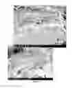 Fig. 32 - PREPARATION OF NANOSTRUCTURED MICROPOROUS COMPOSITE FOAMS