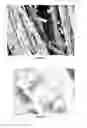 Fig. 33 - PREPARATION OF NANOSTRUCTURED MICROPOROUS COMPOSITE FOAMS
