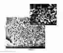 Fig. 37 - PREPARATION OF NANOSTRUCTURED MICROPOROUS COMPOSITE FOAMS