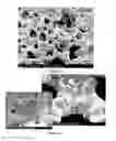 Fig. 40 - PREPARATION OF NANOSTRUCTURED MICROPOROUS COMPOSITE FOAMS