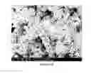 Fig. 41 - PREPARATION OF NANOSTRUCTURED MICROPOROUS COMPOSITE FOAMS