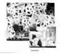 Fig. 42 - PREPARATION OF NANOSTRUCTURED MICROPOROUS COMPOSITE FOAMS