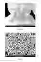 Fig. 43 - PREPARATION OF NANOSTRUCTURED MICROPOROUS COMPOSITE FOAMS