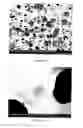 Fig. 46 - PREPARATION OF NANOSTRUCTURED MICROPOROUS COMPOSITE FOAMS