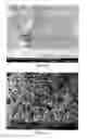 Fig. 47 - PREPARATION OF NANOSTRUCTURED MICROPOROUS COMPOSITE FOAMS