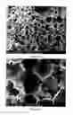 Fig. 48 - PREPARATION OF NANOSTRUCTURED MICROPOROUS COMPOSITE FOAMS