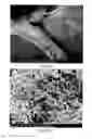 Fig. 49 - PREPARATION OF NANOSTRUCTURED MICROPOROUS COMPOSITE FOAMS