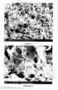 Fig. 50 - PREPARATION OF NANOSTRUCTURED MICROPOROUS COMPOSITE FOAMS