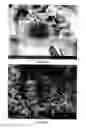 Fig. 51 - PREPARATION OF NANOSTRUCTURED MICROPOROUS COMPOSITE FOAMS