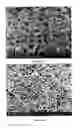 Fig. 53 - PREPARATION OF NANOSTRUCTURED MICROPOROUS COMPOSITE FOAMS