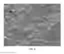 Fig. 04 - VIBRATION DAMPING COATING