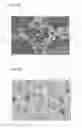 Fig. 11 - Honeycomb structural body