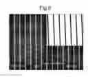Fig. 04 - Article and method of surface treatment of an article