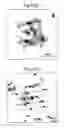 Fig. 06 - Article and method of surface treatment of an article