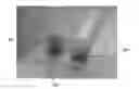 Fig. 01 - Non-fouling surfaces for reflective spheres