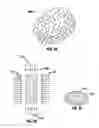 Fig. 03 - Hydrogel implants with varying degrees of crosslinking