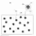 Fig. 01 - Method of generating structural color