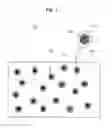 Fig. 02 - Method of generating structural color