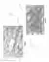 Fig. 02 - CAMOUFLAGE DEVICE