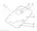 Fig. 01 - DECORATIVE ELEMENT FOR DECORATION OF SURFACES, PREFERABLY WALL SURFACES