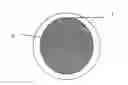 Fig. 01 - Heat-expandable microspheres and a method of making heat-expandable microspheres and application thereof