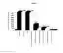 Fig. 05 - Method for imparting antimicrobial activity to a medical device