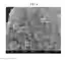 Fig. 04 - POSITIVE ACTIVE MATERIAL FOR RECHARGEABLE LITHIUM BATTERY, METHOD OF PREPARING THE SAME, AND RECHARGEABLE LITHIUM BATTERY INCLUDING THE SAME