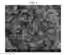 Fig. 06 - POSITIVE ACTIVE MATERIAL FOR RECHARGEABLE LITHIUM BATTERY, METHOD OF PREPARING THE SAME, AND RECHARGEABLE LITHIUM BATTERY INCLUDING THE SAME