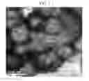 Fig. 07 - POSITIVE ACTIVE MATERIAL FOR RECHARGEABLE LITHIUM BATTERY, METHOD OF PREPARING THE SAME, AND RECHARGEABLE LITHIUM BATTERY INCLUDING THE SAME
