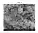 Fig. 08 - POSITIVE ACTIVE MATERIAL FOR RECHARGEABLE LITHIUM BATTERY, METHOD OF PREPARING THE SAME, AND RECHARGEABLE LITHIUM BATTERY INCLUDING THE SAME