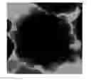 Fig. 01 - Black magnetic iron oxide particles