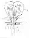 Fig. 06 - Combustion apparatus and methods